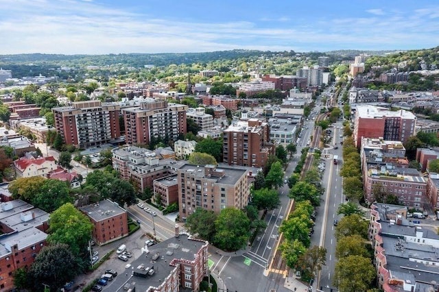 bird's eye view