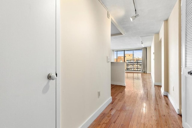 hall featuring rail lighting, expansive windows, and light wood-type flooring