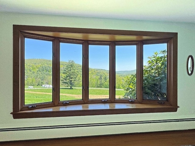 85 Warfield Rd, Charlemont, MA 01339 - detailed view of a baseboard radiator