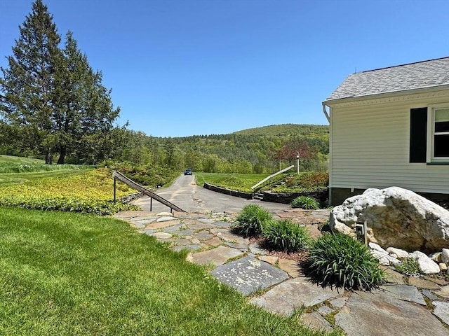 85 Warfield Rd, Charlemont, MA 01339 - view of yard with a view of trees