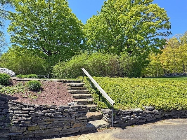 85 Warfield Rd, Charlemont, MA 01339 - view of yard