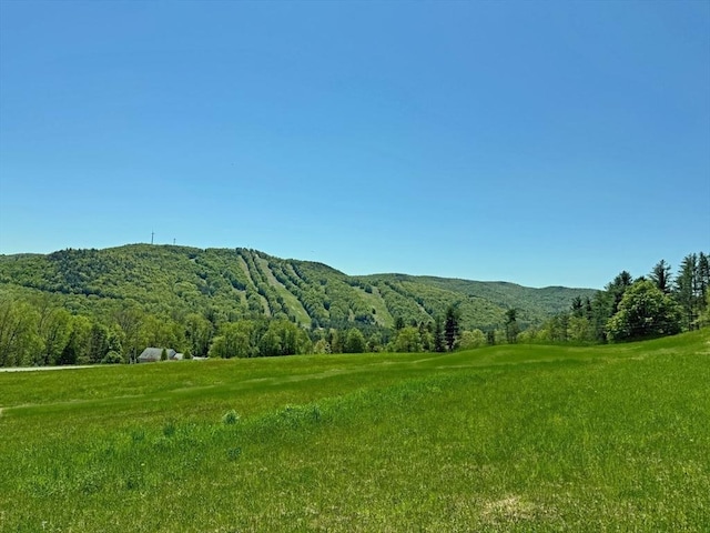 85 Warfield Rd, Charlemont, MA 01339 - view of mountain backdrop with a heavily wooded area