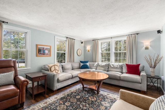 living area with a textured ceiling, wood finished floors, and ornamental molding