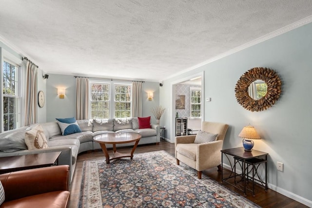 living room with a healthy amount of sunlight, crown molding, a textured ceiling, and wood finished floors