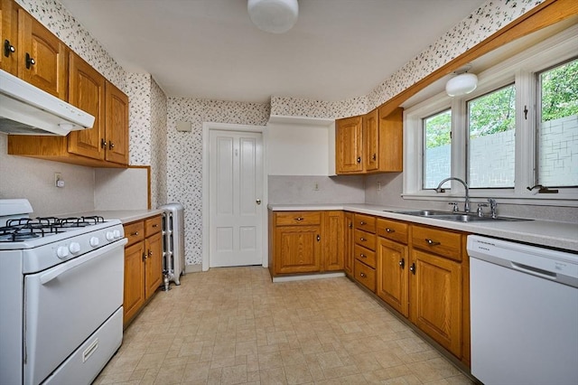 kitchen with white appliances, radiator heating unit, light countertops, a sink, and brown cabinets