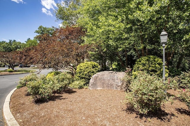 40 Sharron Dr Unit 40, Easton, MA 02375 - view of yard