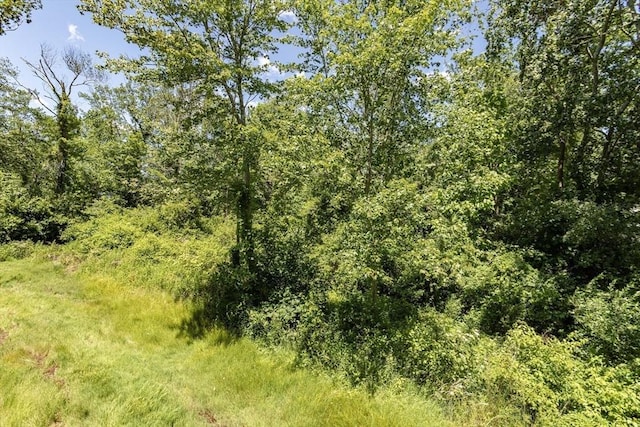 40 Sharron Dr Unit 40, Easton, MA 02375 - view of tree filled area