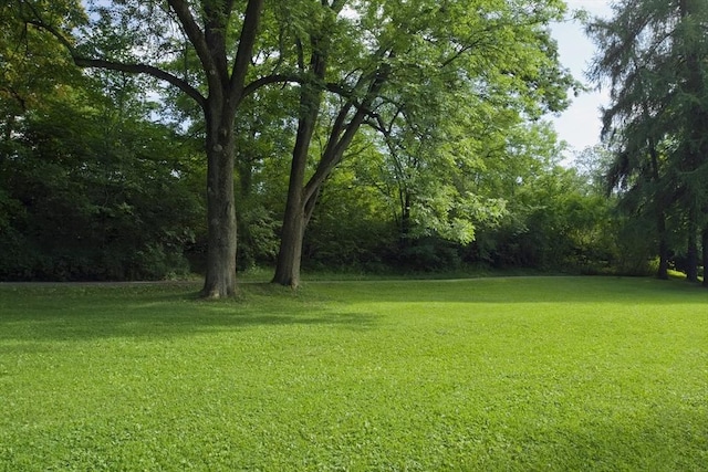 125 Lowell St Unit 2A, Somerville, MA 02143 - view of green lawn