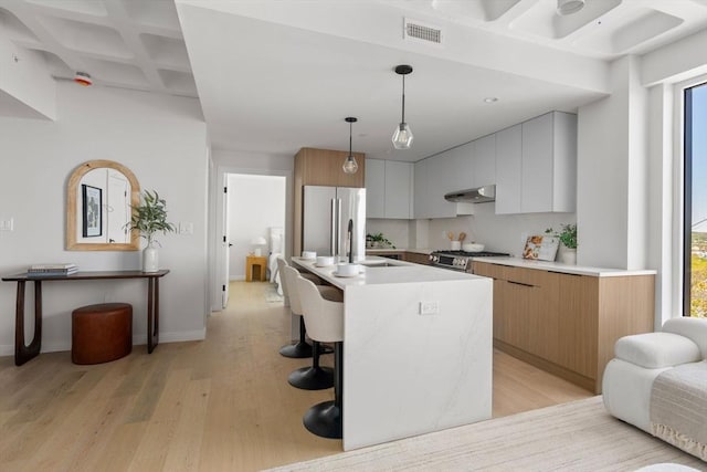 125 Lowell St Unit 2A, Somerville, MA 02143 - kitchen with under cabinet range hood, stainless steel appliances, light wood-type flooring, healthy amount of natural light, and coffered ceiling