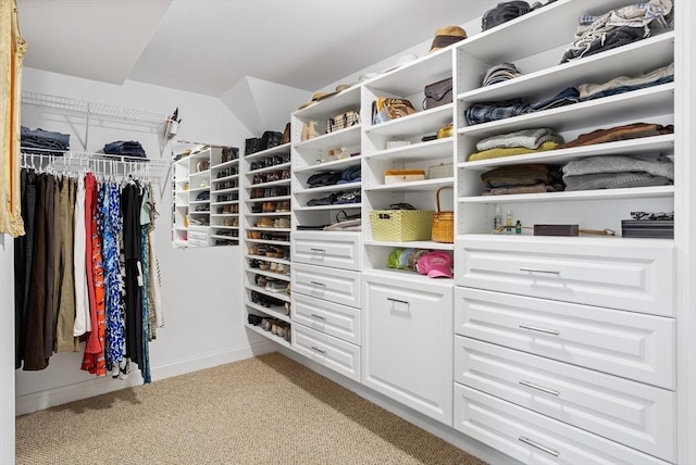 spacious closet featuring light carpet