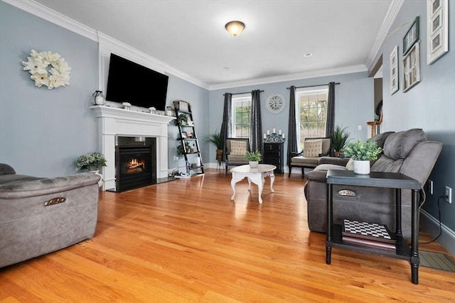 living area featuring light wood finished floors, crown molding, baseboards, and a fireplace with flush hearth