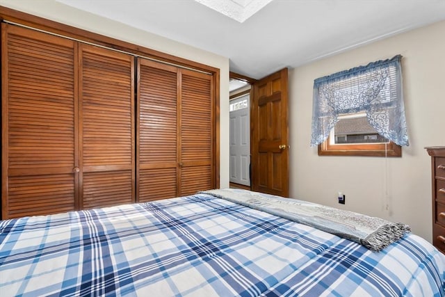 bedroom featuring a skylight and a closet