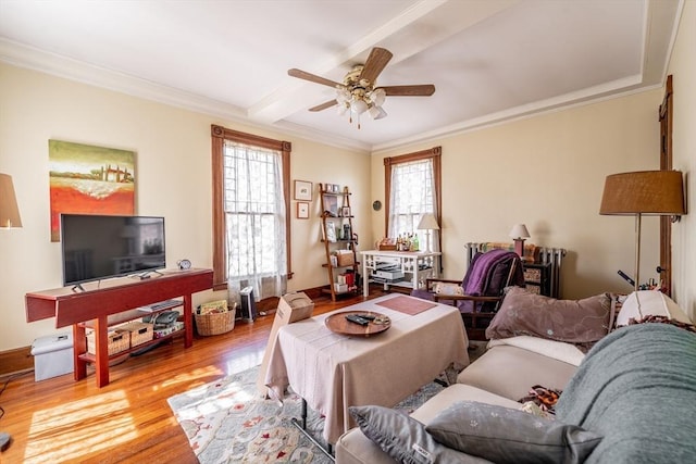 26 S Main St, Belchertown, MA 01007 - living room with beamed ceiling, crown molding, a ceiling fan, and wood finished floors