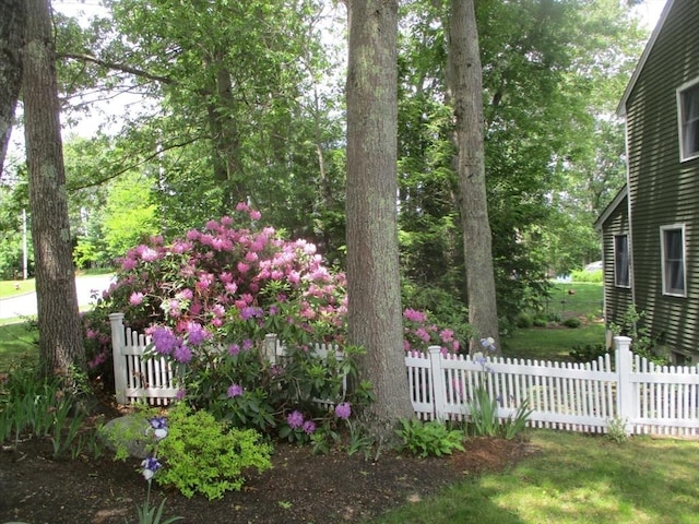4 Deepwater Ln, Walpole, MA 02091 - view of yard