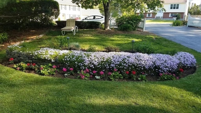 4 Deepwater Ln, Walpole, MA 02091 - view of grassy yard