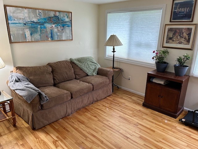 living room with light hardwood / wood-style flooring