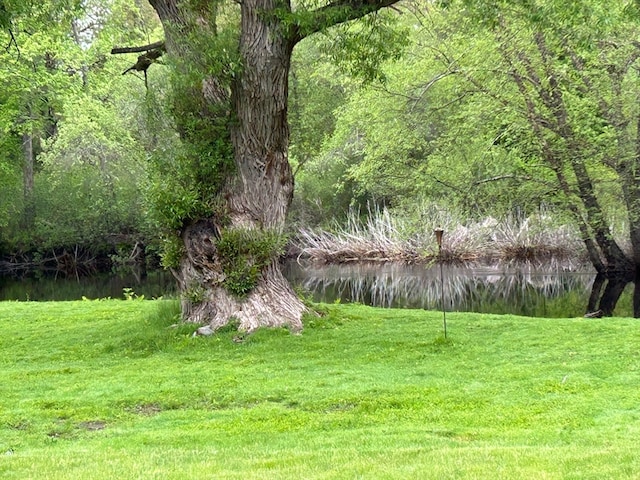 view of home's community with a lawn and a water view