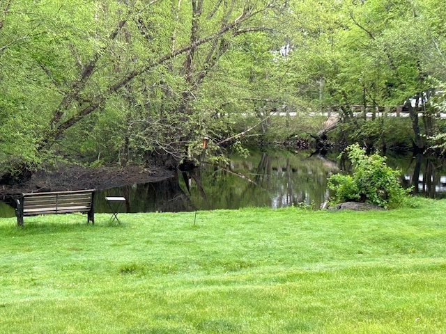 view of yard with a water view