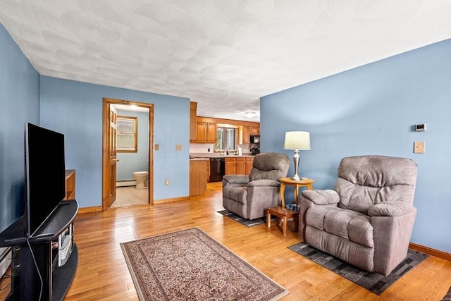 24 Floyd Ave, Tewksbury, MA 01876 - living room with baseboards, light wood finished floors, and a baseboard radiator
