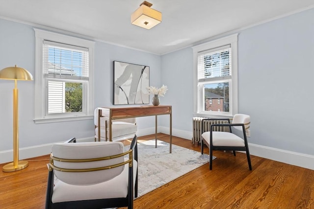 living area featuring a healthy amount of sunlight, radiator, and baseboards