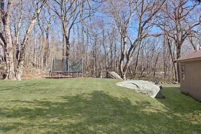 view of yard with a trampoline