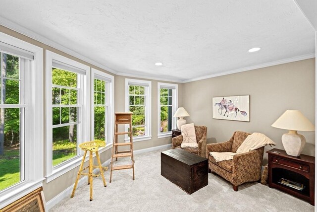 70 Humphreys Ln Unit 70, Duxbury, MA 02332 - sitting room with baseboards, carpet, ornamental molding, and recessed lighting