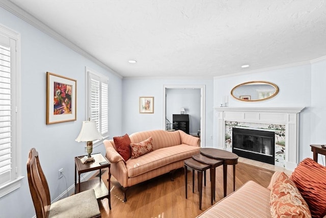 70 Humphreys Ln Unit 70, Duxbury, MA 02332 - living area with wood finished floors, a premium fireplace, crown molding, recessed lighting, and baseboards