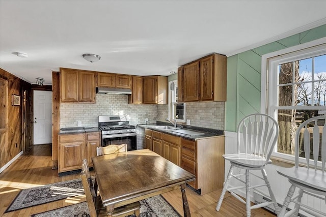 kitchen with sink, light wood-type flooring, and stainless steel gas range