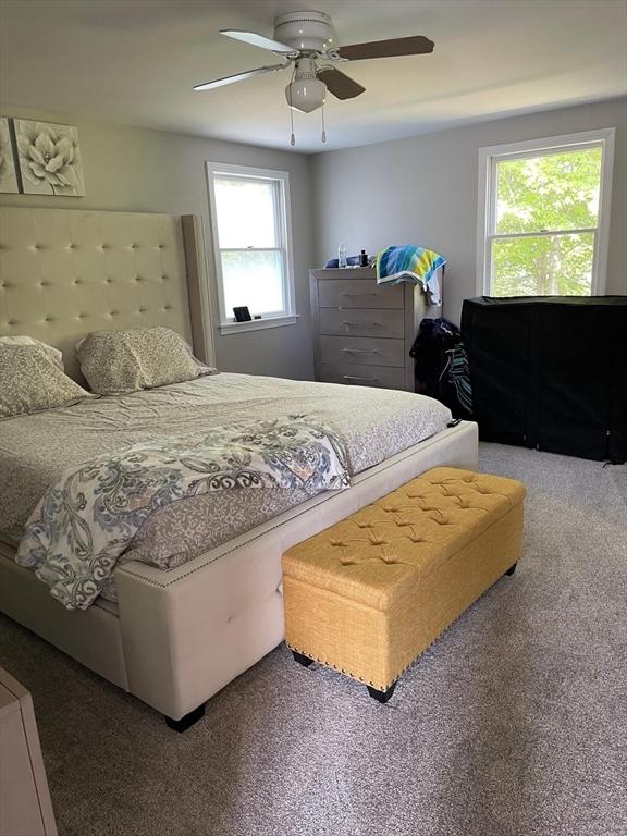 bedroom featuring ceiling fan, carpet flooring, and multiple windows