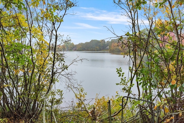 property view of water