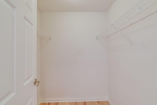 spacious closet with light wood-type flooring