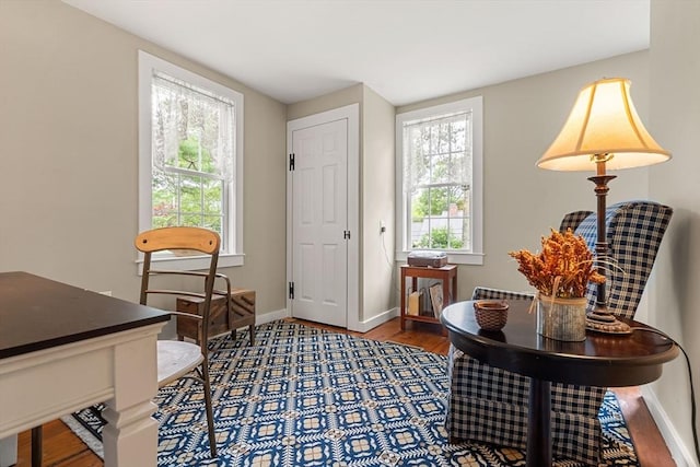 sitting room featuring hardwood / wood-style floors and a wealth of natural light