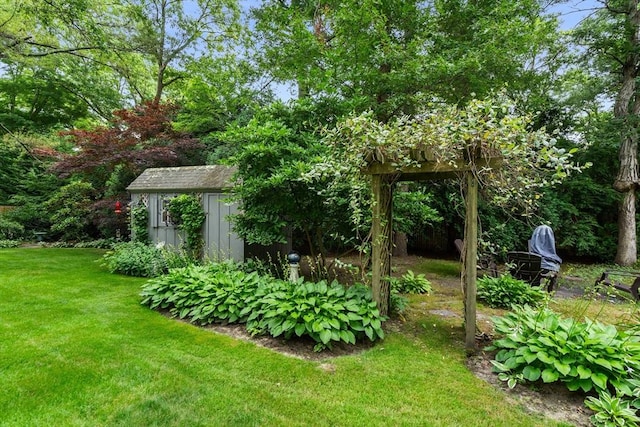 view of yard with a storage shed