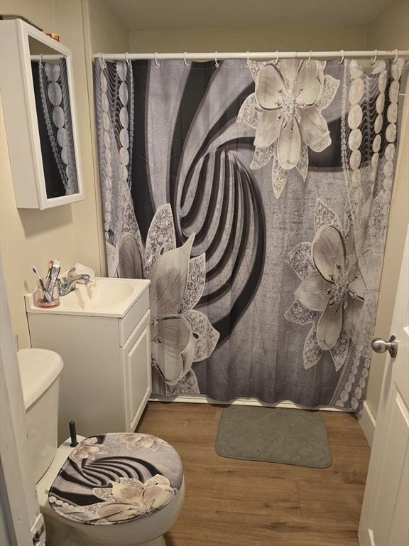 68 Temple St, Haverhill, MA 01832 - full bathroom with wood finished floors, vanity, and curtained shower