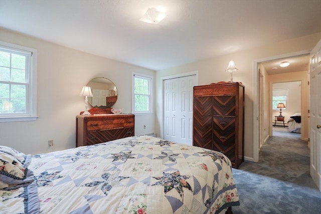 119 Messenger St, Plainville, MA 02762 - bedroom with carpet floors and a closet