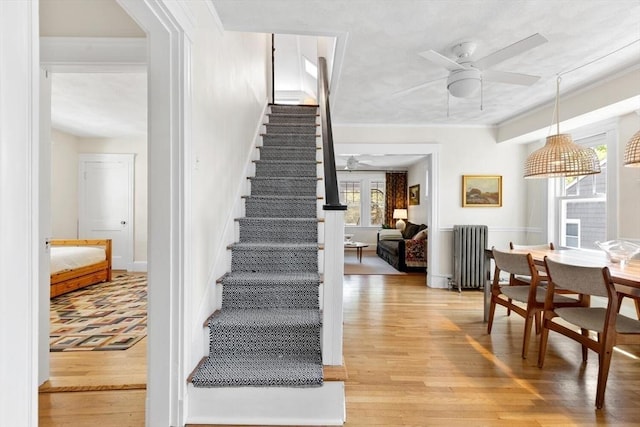 stairway with crown molding, a ceiling fan, radiator heating unit, and wood finished floors
