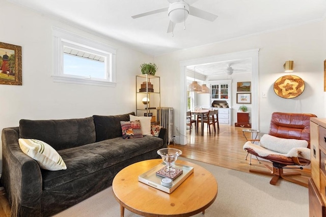 living area with a ceiling fan, wood finished floors, and radiator heating unit