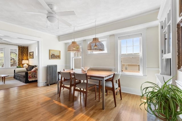 dining area featuring radiator heating unit, ornamental molding, light wood finished floors, and a wealth of natural light