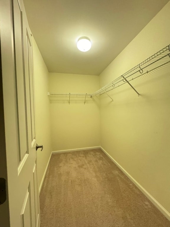 walk in closet featuring light carpet