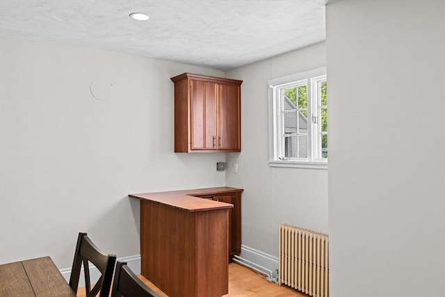 553 Center St, Hanover, MA 02339 - indoor dry bar with radiator heating unit, light wood-style flooring, and recessed lighting