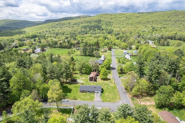 3 Bayberry Ln, Westfield, MA 01085 - bird's eye view of a heavily wooded area