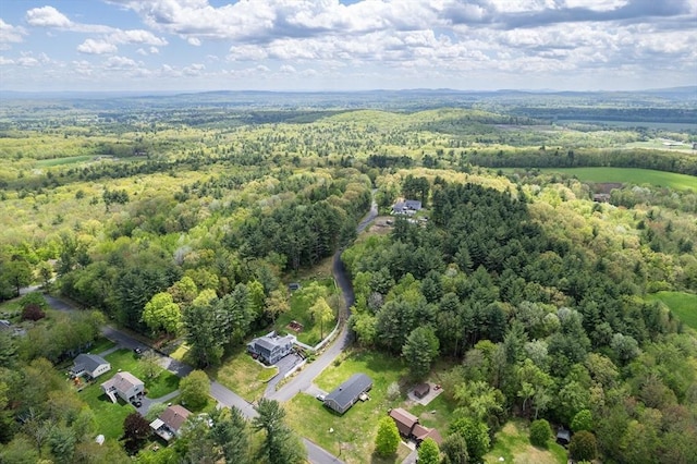 3 Bayberry Ln, Westfield, MA 01085 - aerial view of property's location with a forest