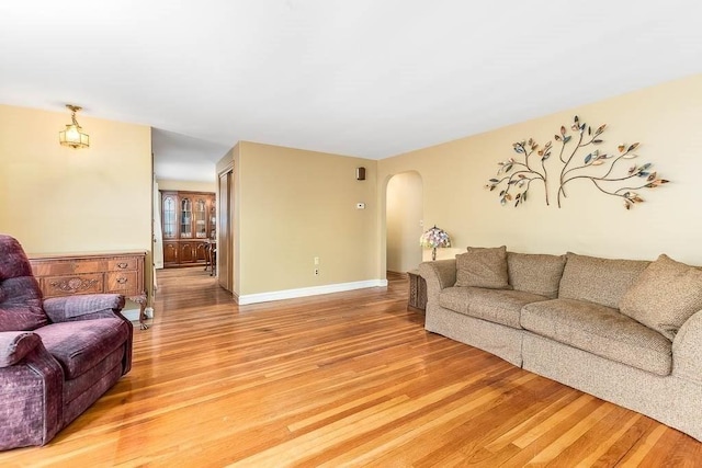 living room featuring wood-type flooring