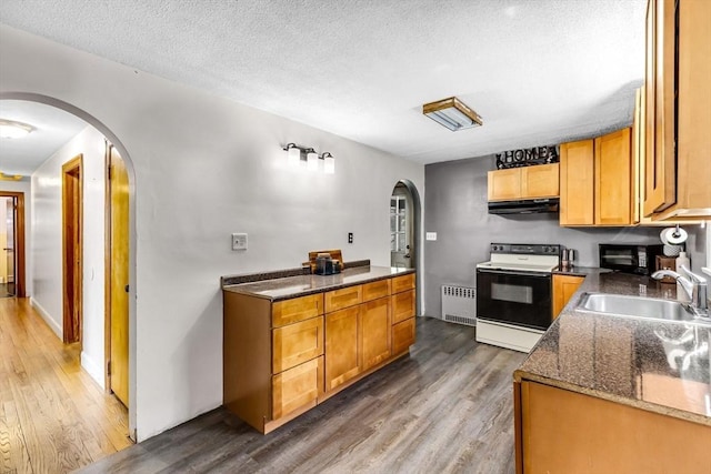 59 Kulig St, Springfield, MA 01104 - kitchen featuring electric range, arched walkways, radiator heating unit, a sink, and under cabinet range hood