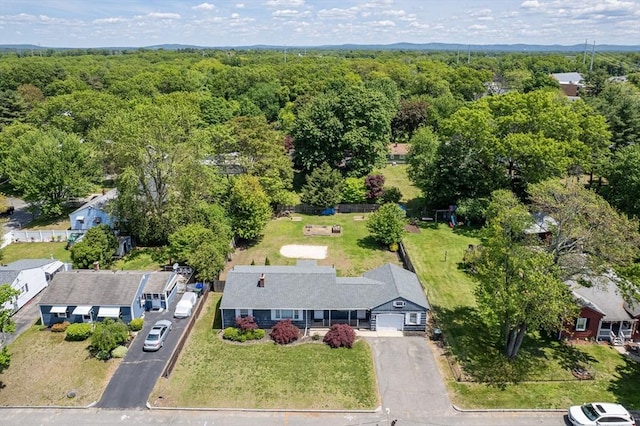 59 Kulig St, Springfield, MA 01104 - drone / aerial view of a heavily wooded area