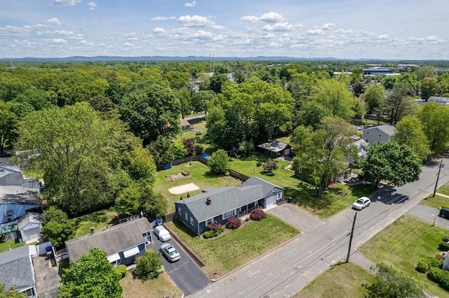 59 Kulig St, Springfield, MA 01104 - bird's eye view of a heavily wooded area