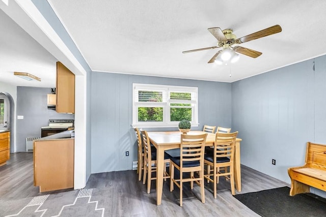 59 Kulig St, Springfield, MA 01104 - dining space featuring wood finished floors, radiator, ceiling fan, and arched walkways