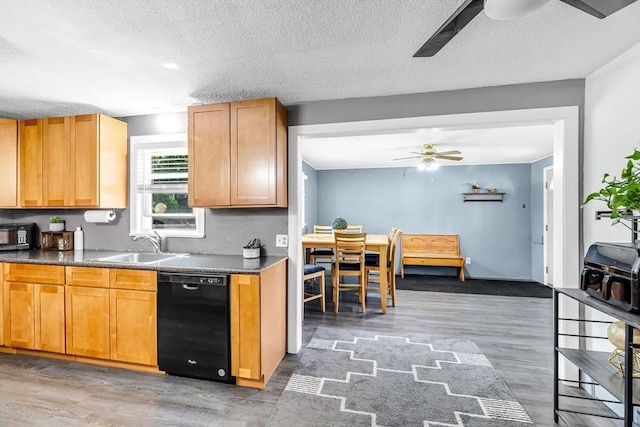 59 Kulig St, Springfield, MA 01104 - kitchen with black dishwasher, a ceiling fan, dark countertops, a textured ceiling, and a sink