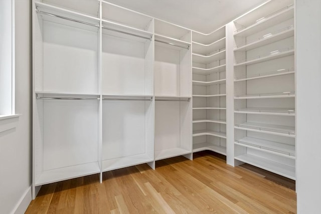 spacious closet featuring hardwood / wood-style flooring