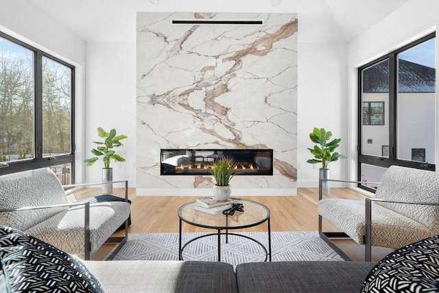 living room featuring wood-type flooring and a premium fireplace